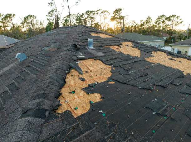 Professional Roofing Service in Bridgeport, PA